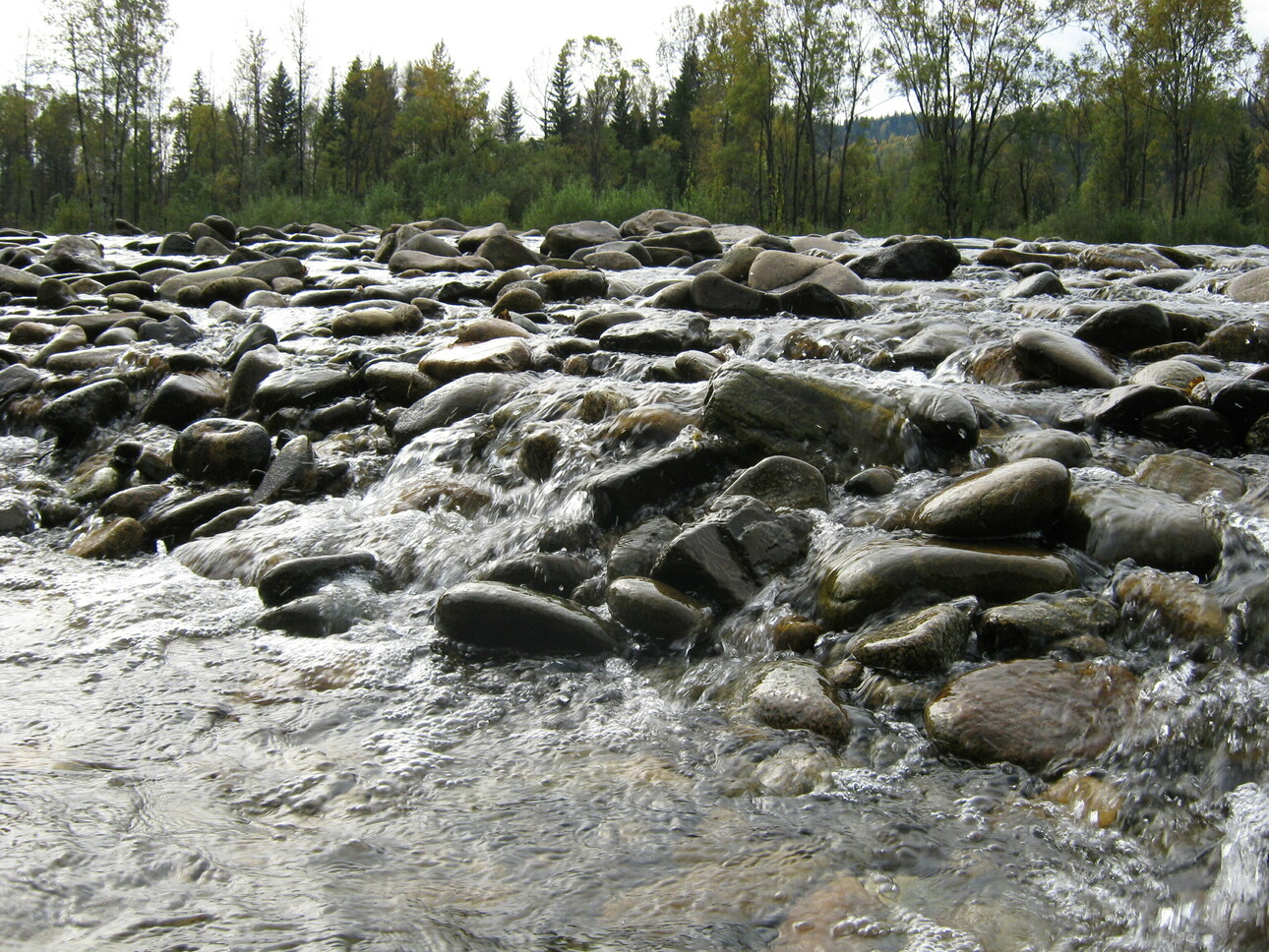 Изображение Фото: Кузина Сергея. 