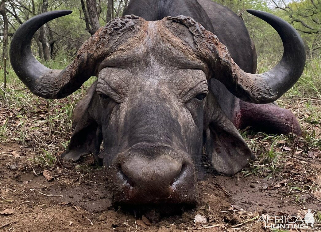 Изображение Фото: africahunting.com