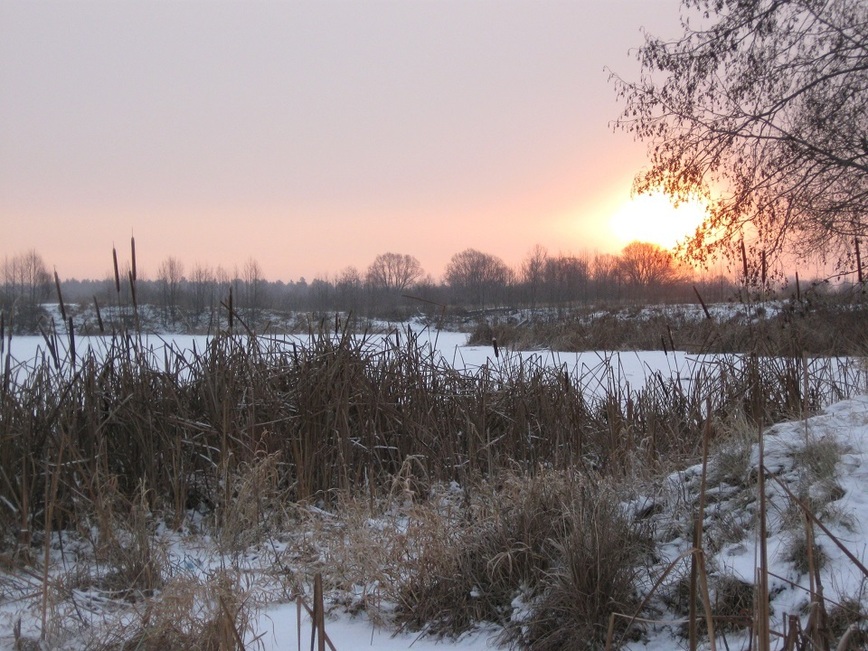 Изображение Фото: Токарева Александра. 