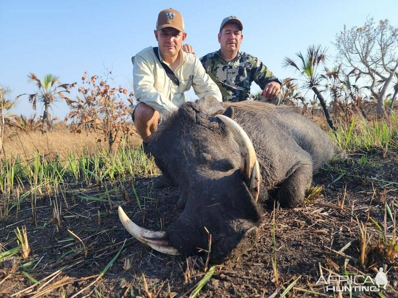 Изображение Фото: africahunting.com