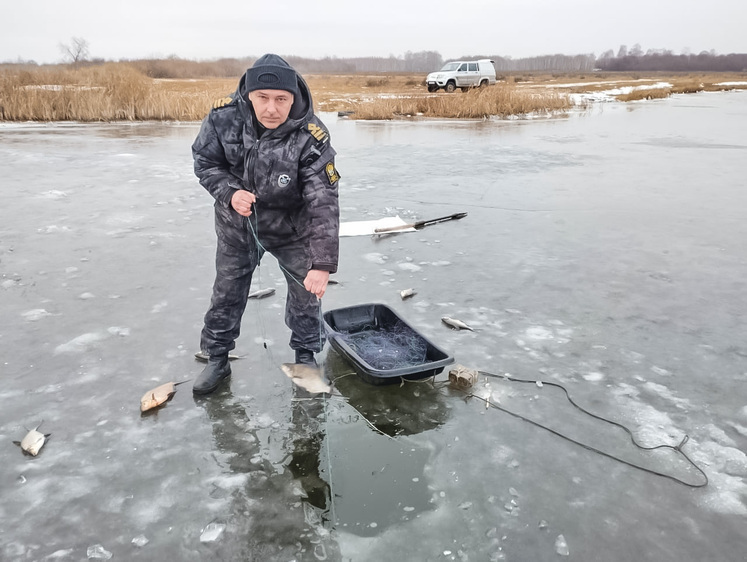 Изображение В Новосибирской области стартовал сезон ловли браконьеров со льда