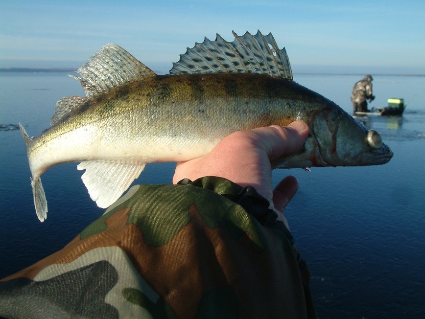 Изображение Фото: Токарева Александра. 