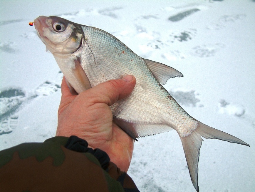 Изображение Фото: Токарева Александра. 
