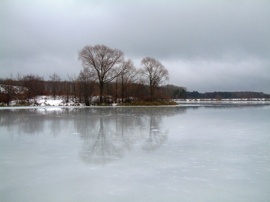Изображение Фото: Токарева Александра. 