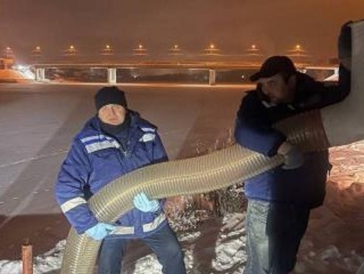 Изображение Как идут зарыбления сигом Финского залива и Ладожского озера