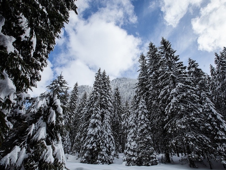 Изображение Выжившие: под Челябинском трое охотников застряли в лесу в -40