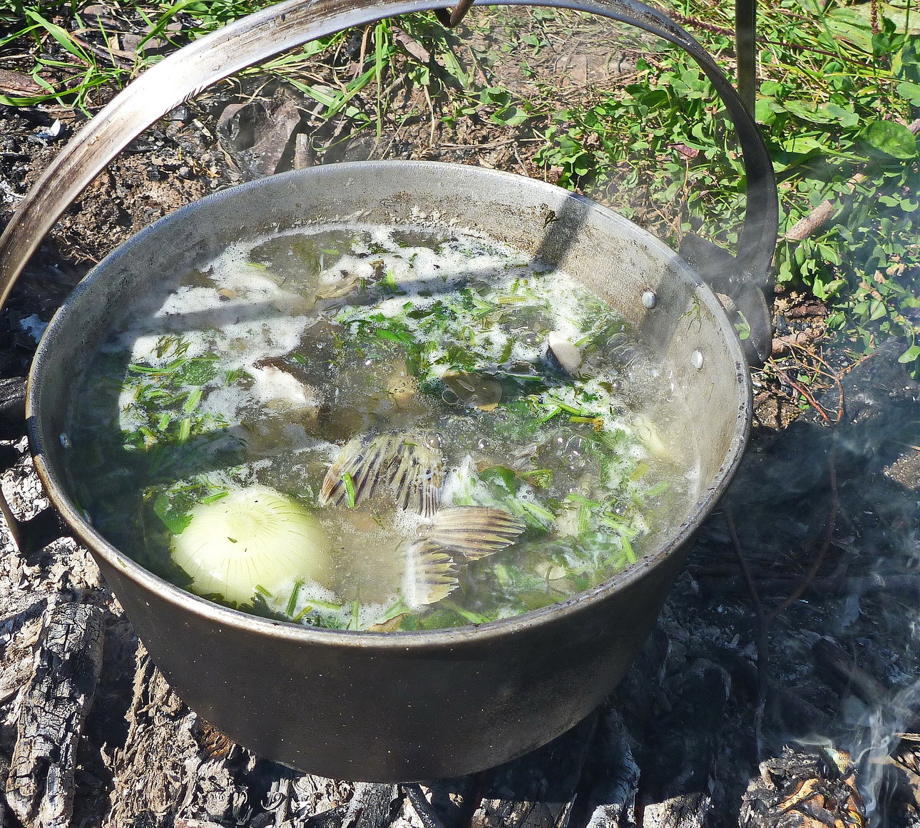 Изображение Супер-уха из перловиц. Фото: Смирнова Александра.