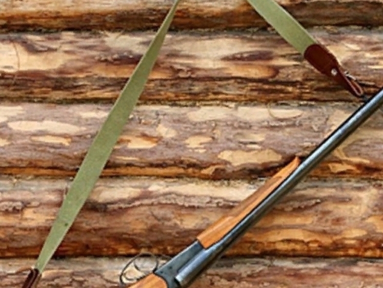 Изображение Погуляли: двое с огнестрелом в больнице, один арестован и в СИЗО