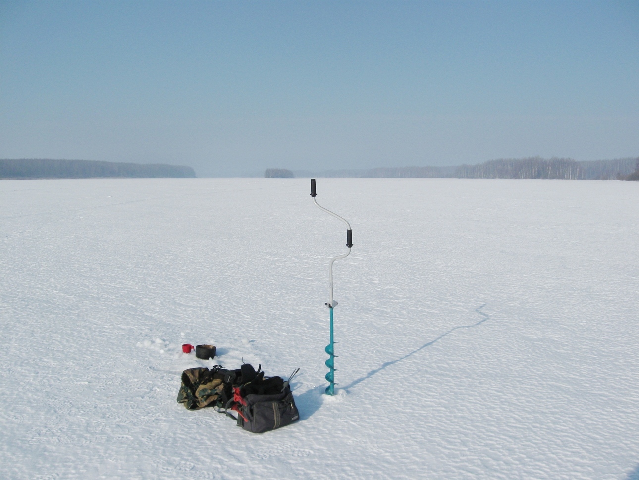 Изображение Фото: Токарева Александра. 