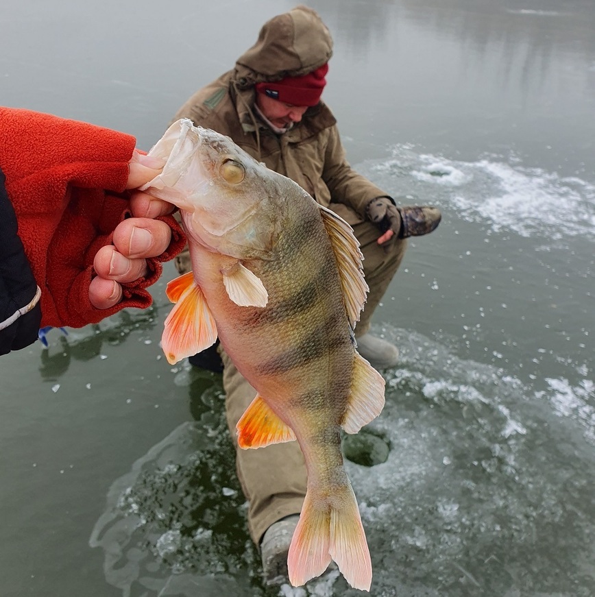 Изображение Фото: Коломийца Алексея. 