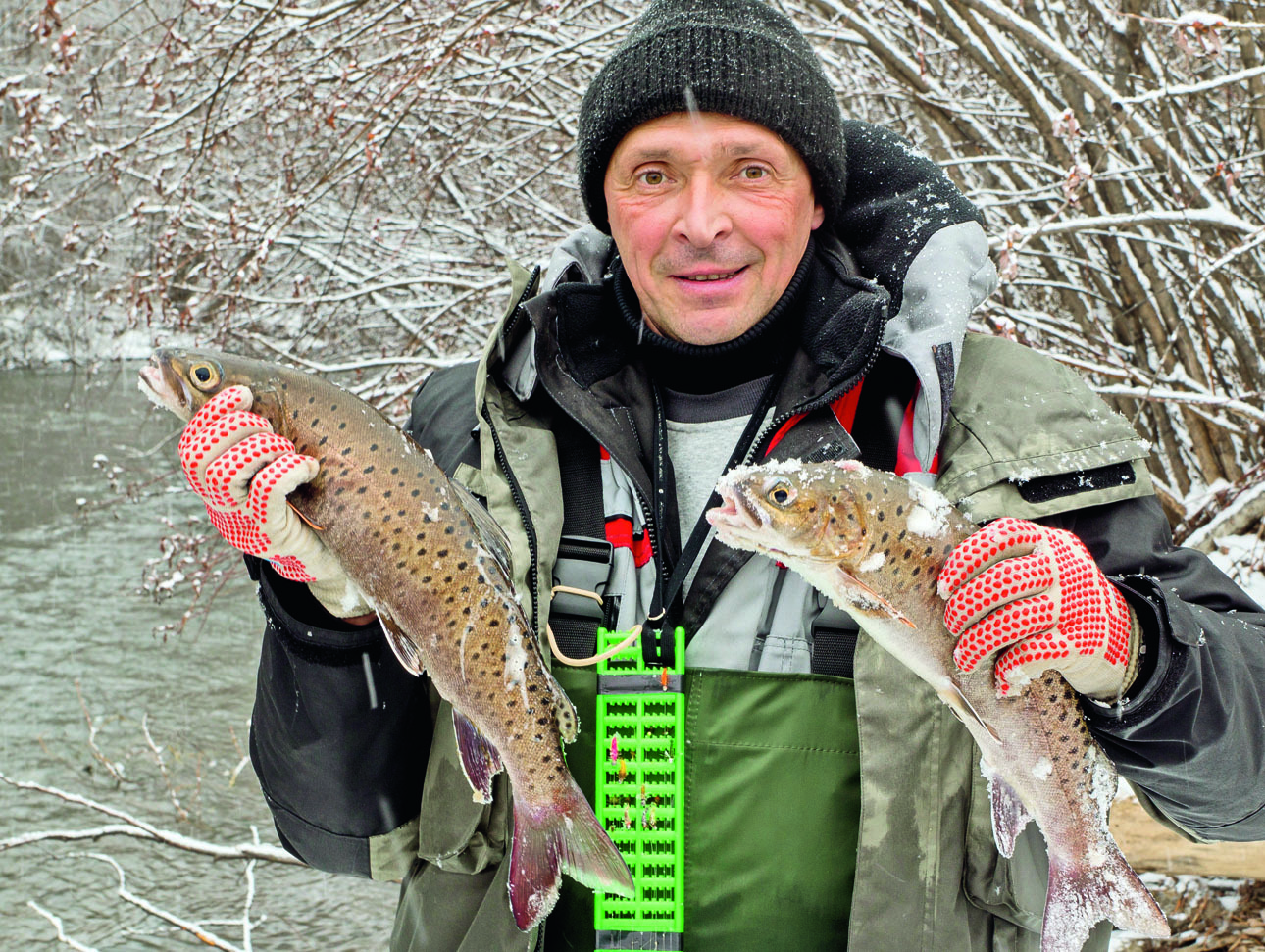 Изображение Эта парочка поймана из засады в кустах. Фото: Смирнова Александра. 