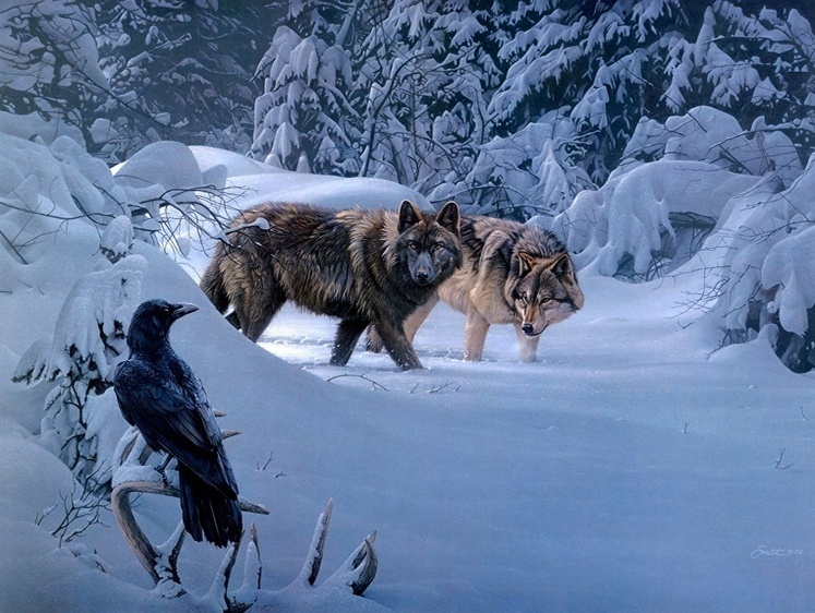 Изображение В Приморском крае гибриды волкособы и вороны стали предметом охоты