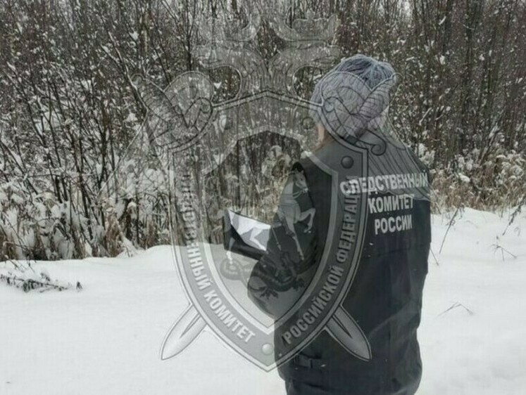 Изображение Подробности трагедии в Костроме: напарника на охоте застрелил судья
