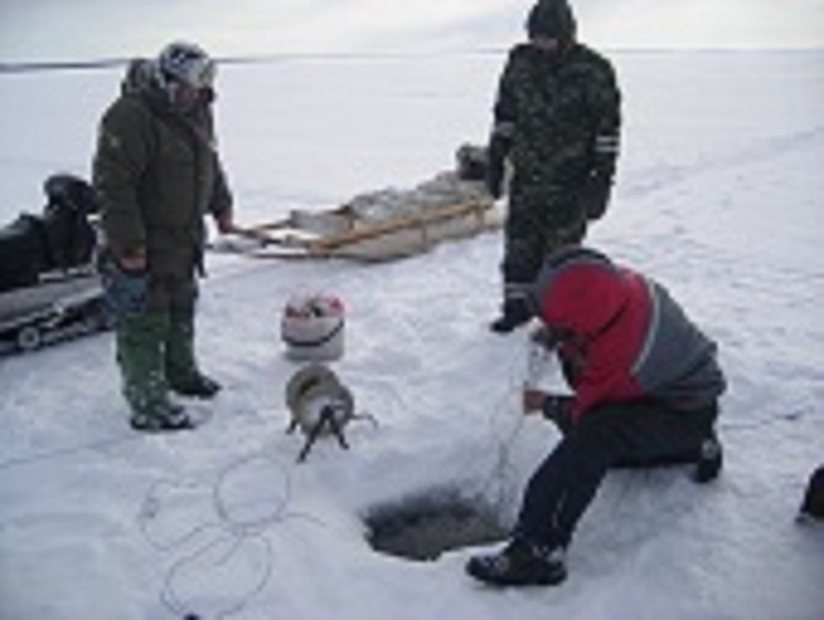 Изображение Отчет североморской рыбоохраны за две недели декабря