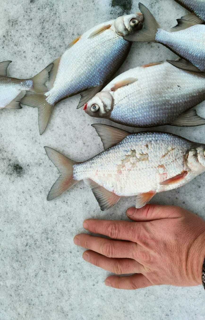 Изображение Фото: Коломийца Алексея. 