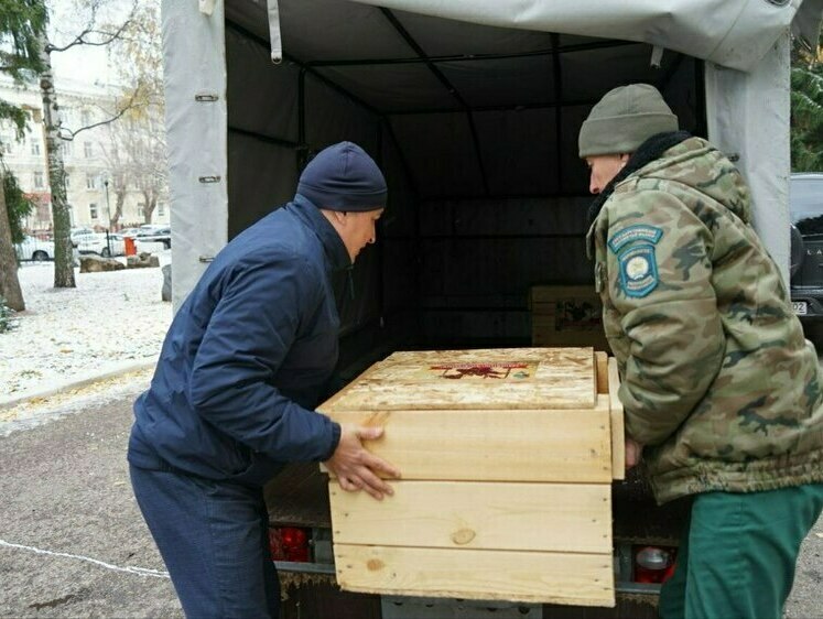 Изображение Охотники Башкирии передали в зону СВО лосятину