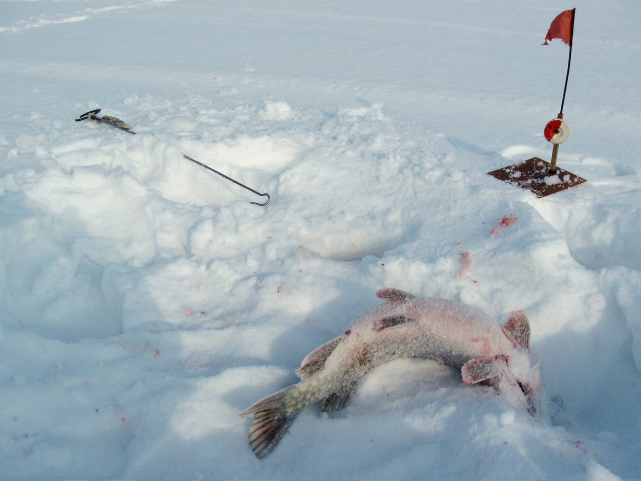 Изображение Фото: Токарева Александра. 