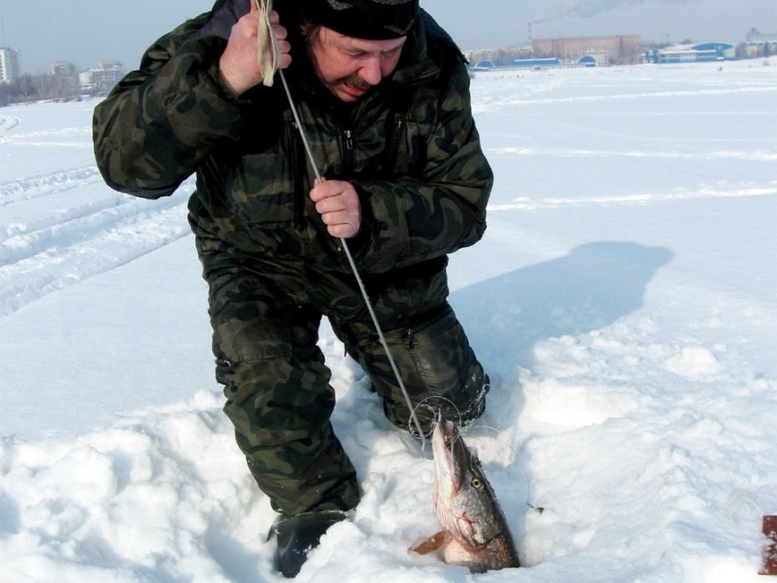 Изображение Фото: Токарева Александра. 