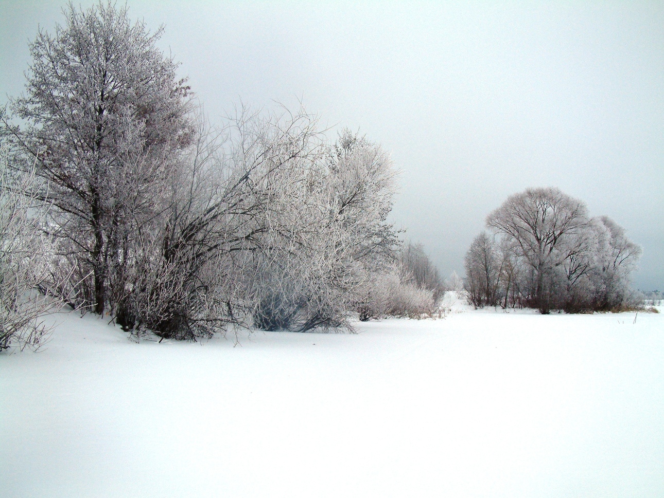 Изображение Фото: Токарева Александра. 
