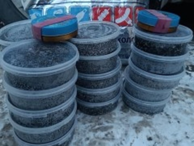 Изображение Купить черную икру в Астрахани можно не только на рынке