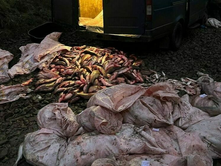 Изображение Пограничники задержали браконьеров с уловом на 9 миллионов