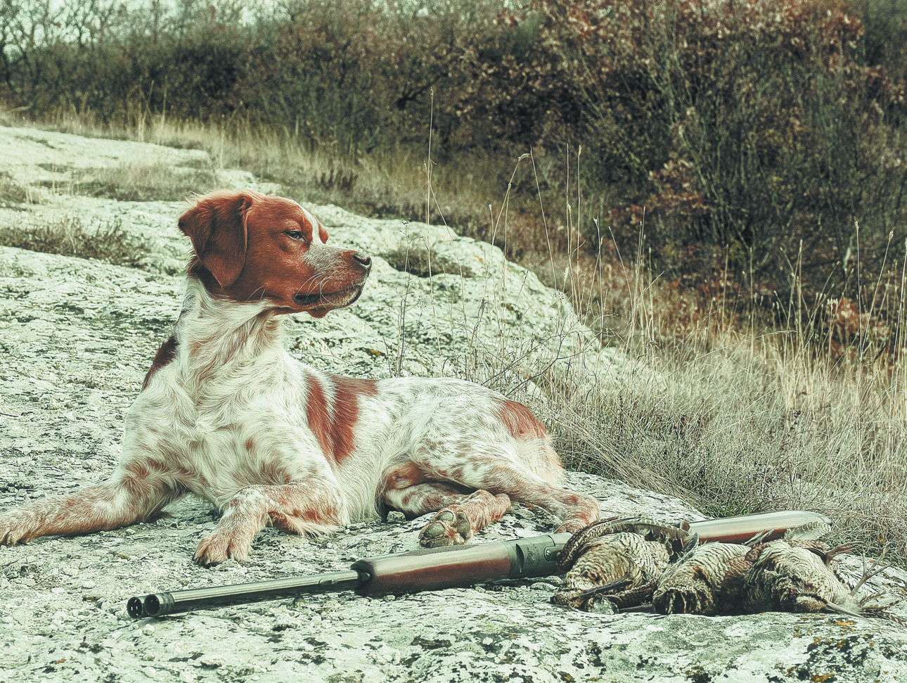 Изображение Фото автора. 