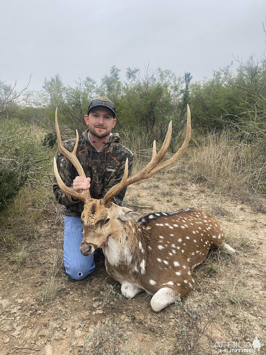 Изображение Фото: africahunting.com