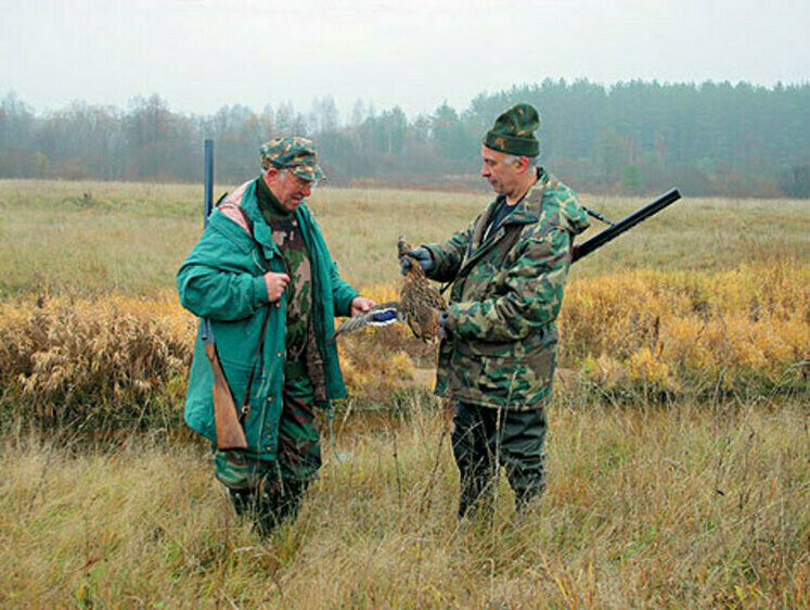 В Белгороде из-за запрета на охоту уменьшилось браконьерство