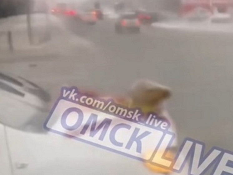 Изображение В Омске Дед Мороз проехался на автомобиле с башкой косули на капоте