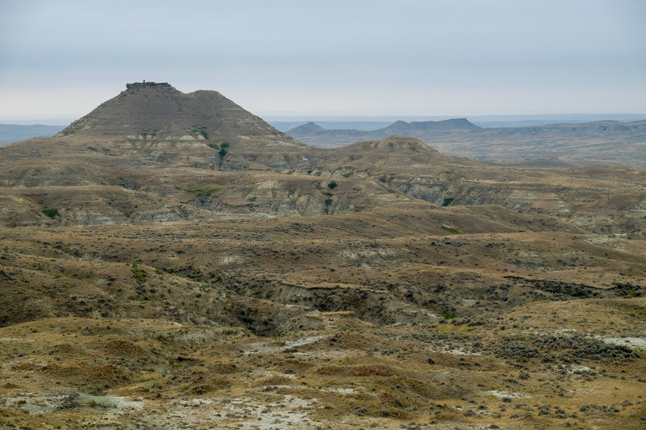 Изображение Изображенная выше пирамида из камней, отмечающая место охотничьего лагеря Хорнадея, видна вдалеке в левом верхнем углу кадра. Эндрю Маккин 