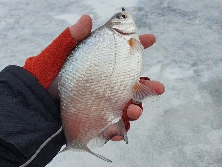 Изображение Реалии волжского затона