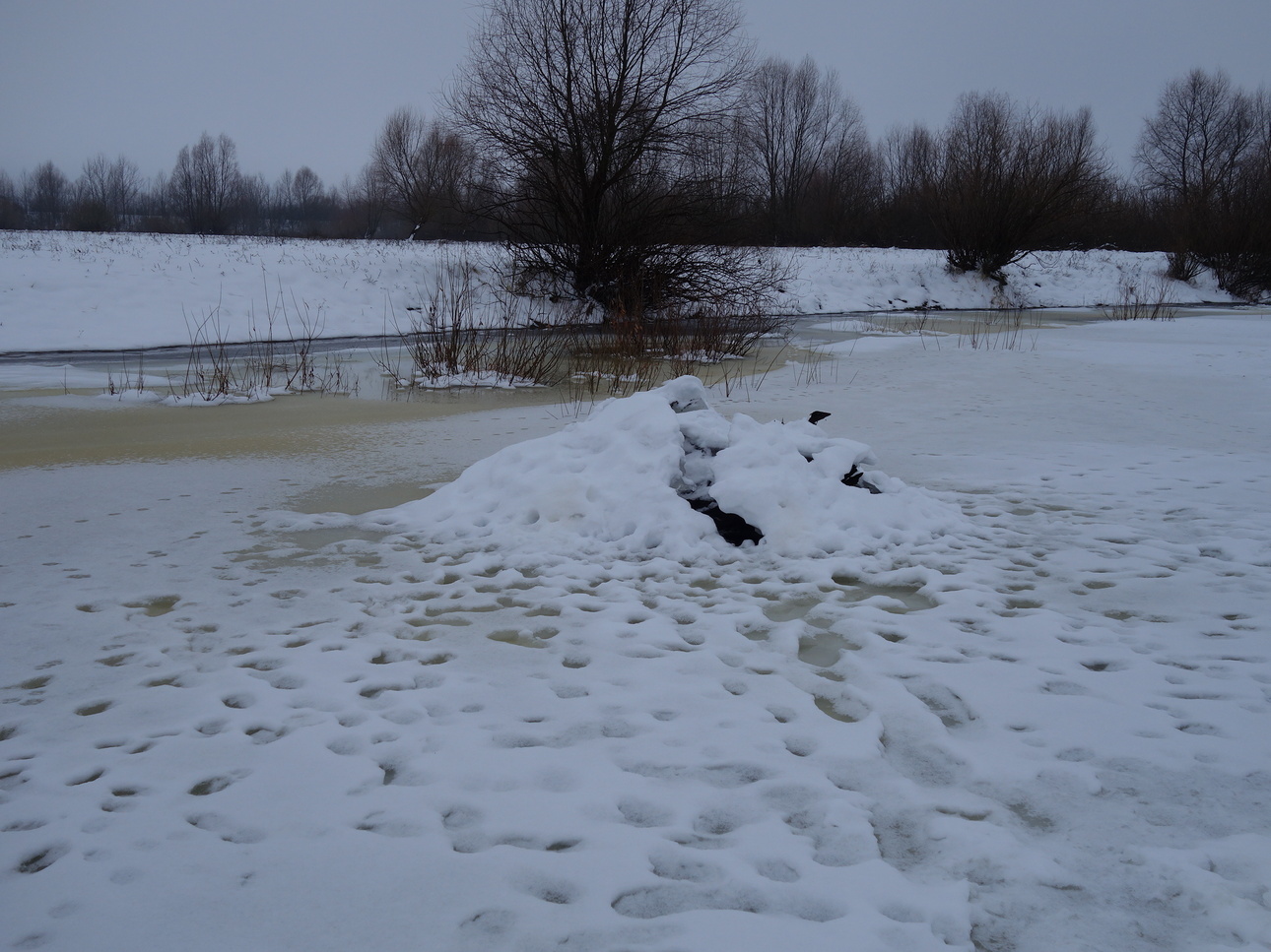 Изображение Фото: Линника Николая. 