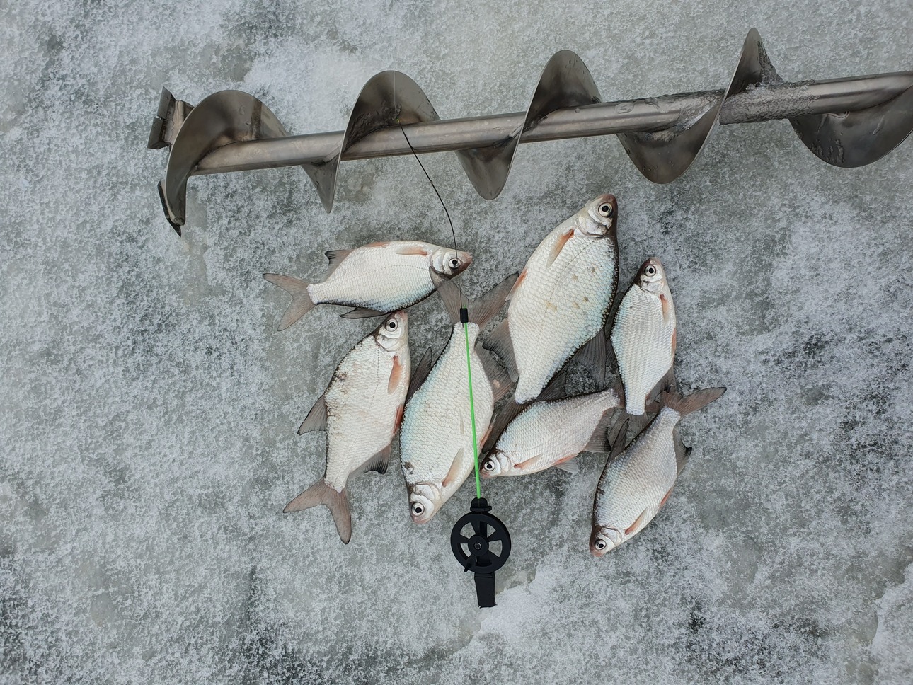 Изображение Для ориентира, карбоновый кивок – 20 см. Фото: Коломийца Алексея.