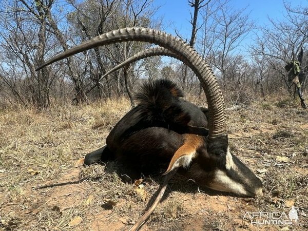 Изображение Фото: africahunting.com