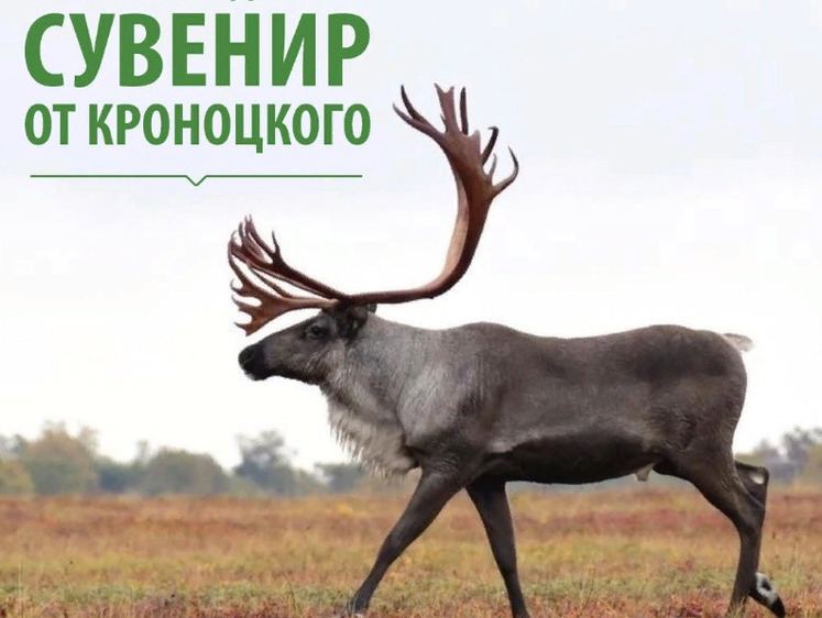 Изображение Кроноцкий заповедник дарит сувениры подписчикам в честь праздника