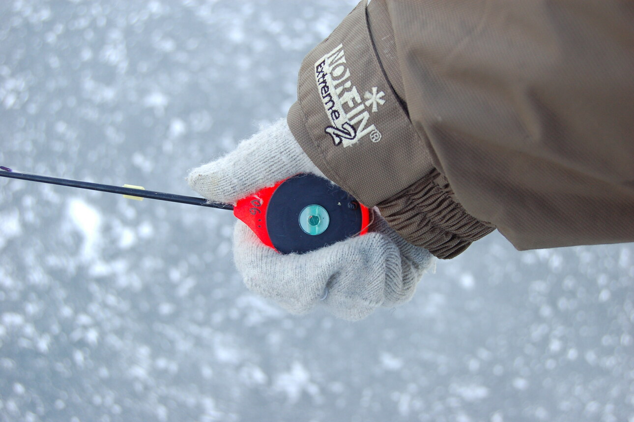 Изображение Фото: Яншевского Андрея.