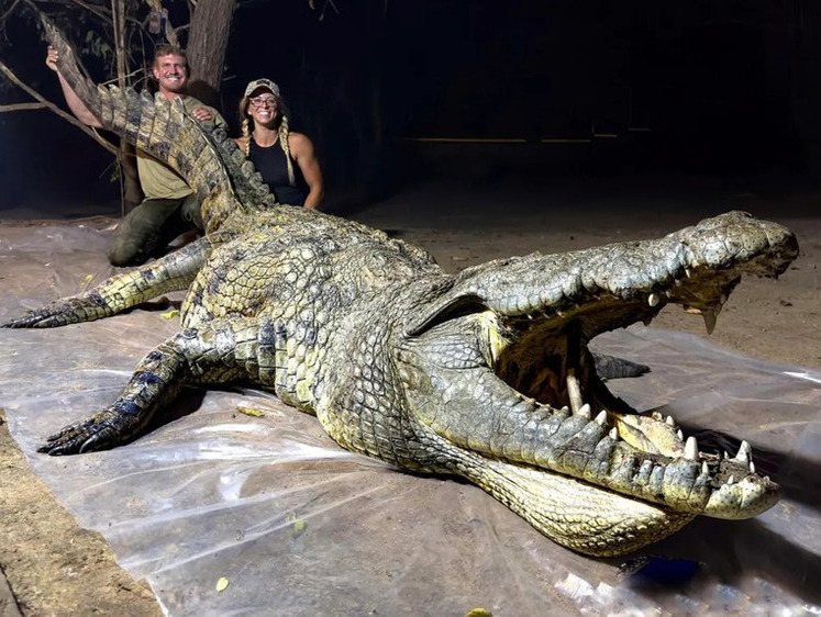 Американская пара застрелила из лука большого крокодила в Африке