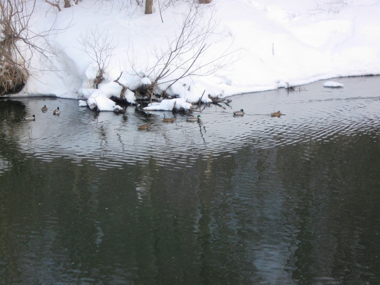 Изображение Фото: Токарева Александра. 
