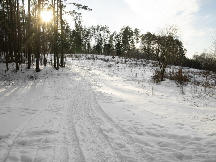 Изображение Челябинская школьница после выстрела охотника приходит в себя. Детали