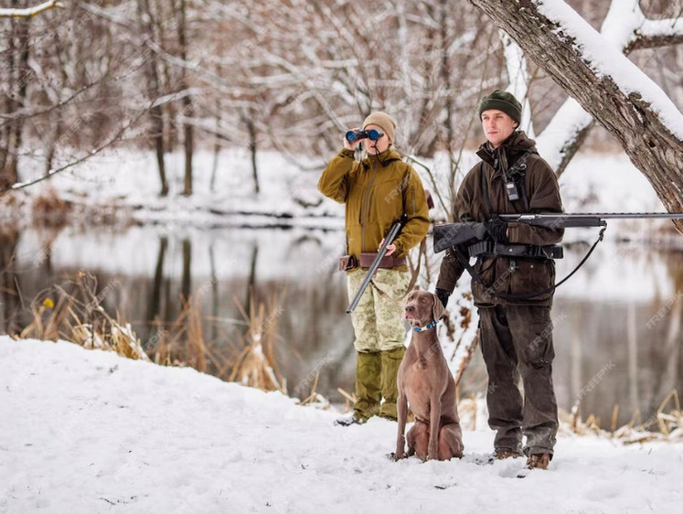 Изображение Зачехляем ружья: в Забайкалье прекращена охота на дичь и копытных