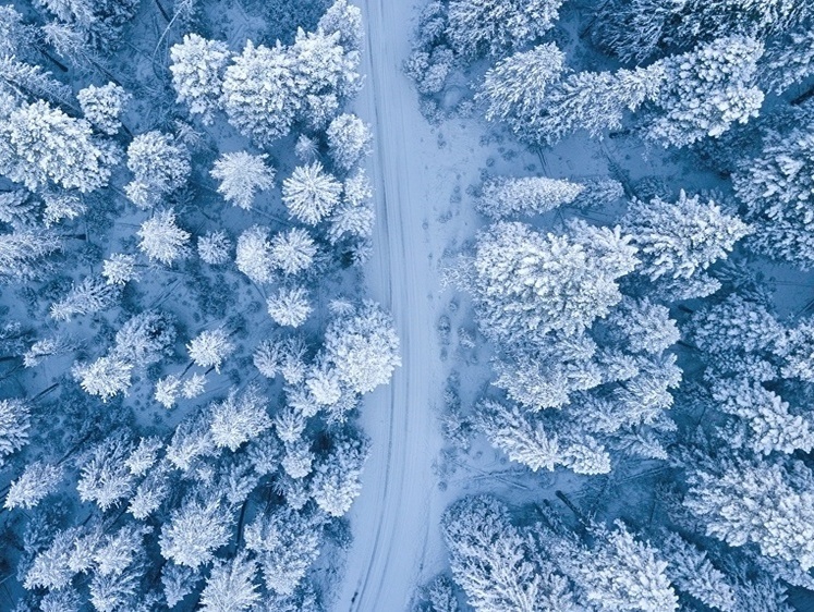 Изображение «Я его по всему дому ищу - он у соседей сидит»: иркутский рыбак жив