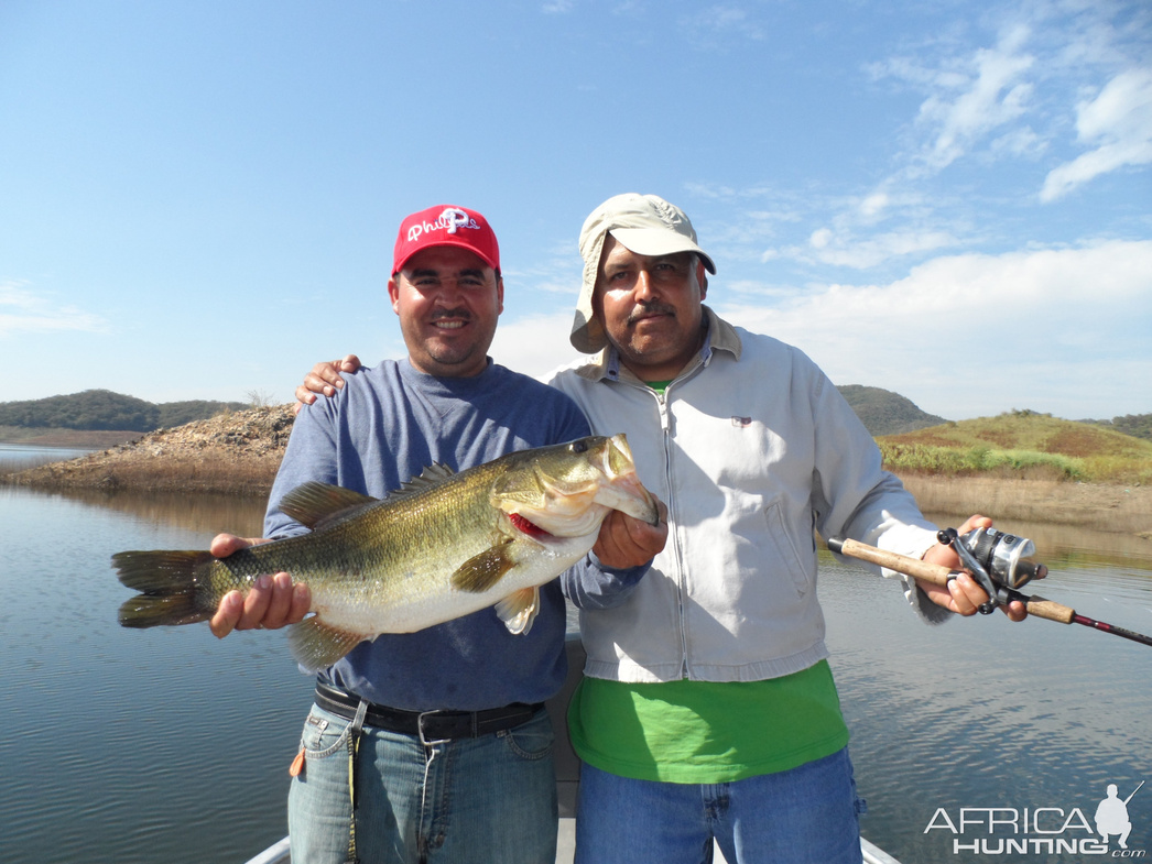 Изображение Фото: africahunting.com