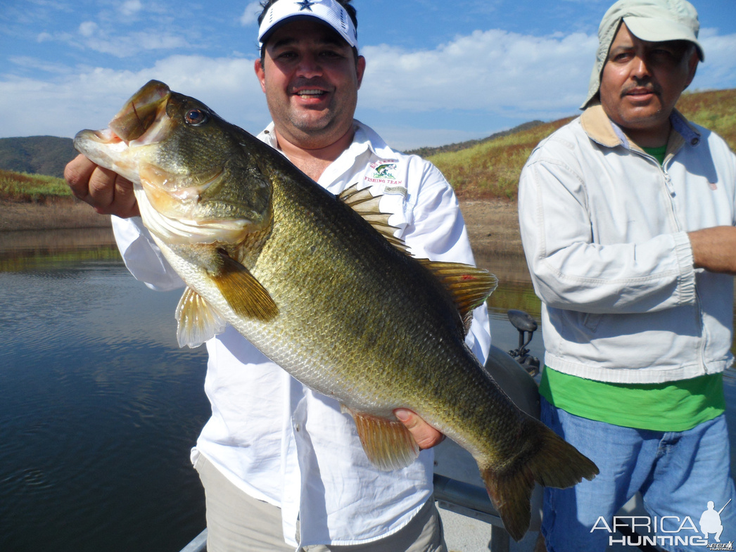 Изображение Фото: africahunting.com