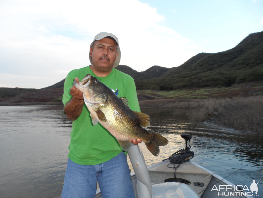 Изображение Фото: africahunting.com