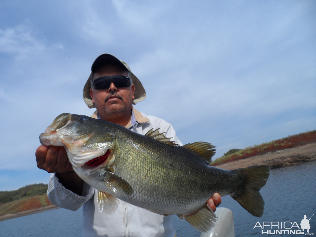 Изображение Фото: africahunting.com