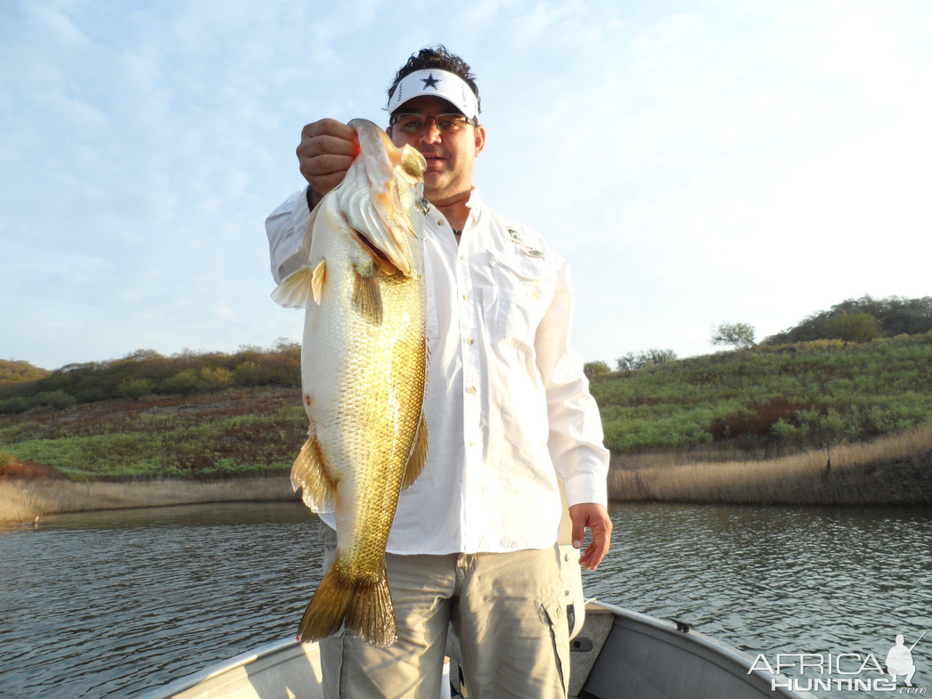 Изображение Фото: africahunting.com