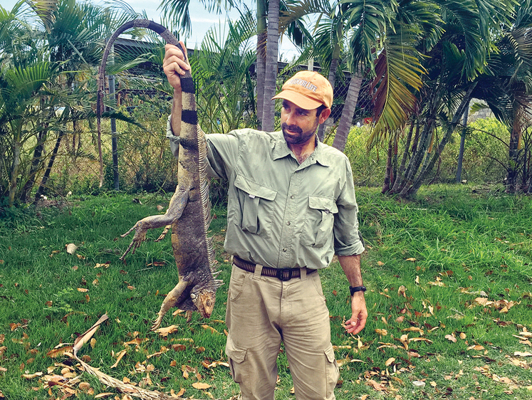 «Гаси этих чертей!». Охота на диких игуан в Пуэрто-Рико