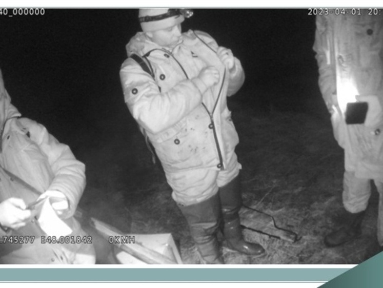 Изображение В Марий Эл убийство двух кабанов и лося обошлось в 420 тысяч рублей 