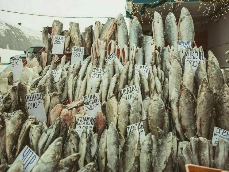 В Воркуте у браконьеров конфисковали почти 4 тонны рыбы