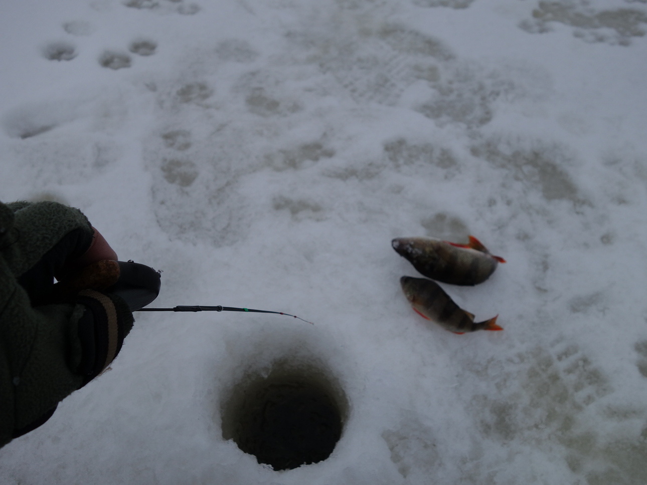 вылов рыбы. рыбопромысловые участки. министр рыбного хозяйства камчатка. земли рыболовства. рыбохозяйственный комплекс россии.